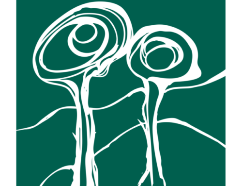 Enginyeria Quercus